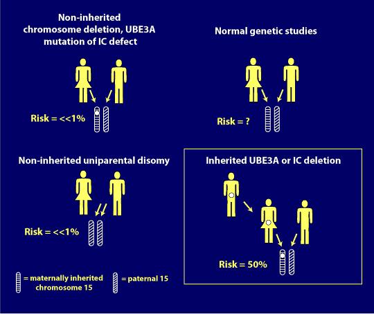 Genetics of Angelman families