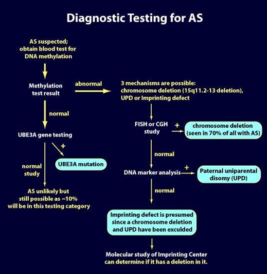 Diagnostic testing for Angelman Syndrome