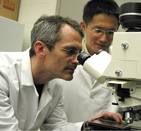 Researchers in a lab, one is looking into a microscope