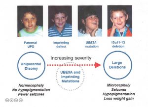 Genotypes and phenotypes