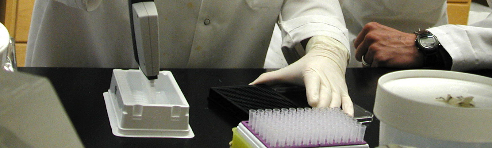 tray of test tubes in a lab