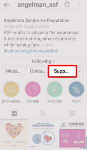 Instagram profile screenshot with support button highlighted