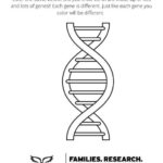 Picture of a chromosome to help facilitate the discussion of genes and Angelman syndrome